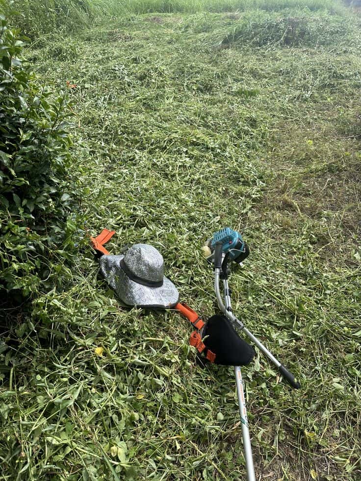 Jasa potong rumput rumah tinggal