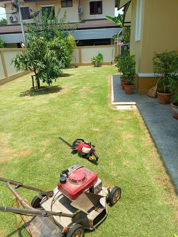 Jasa potong rumput kantor dan kos