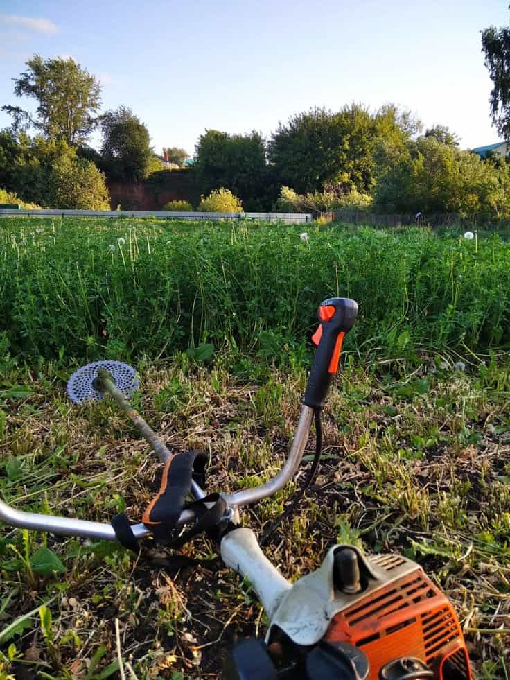 Jasa potong rumput lahan komersial